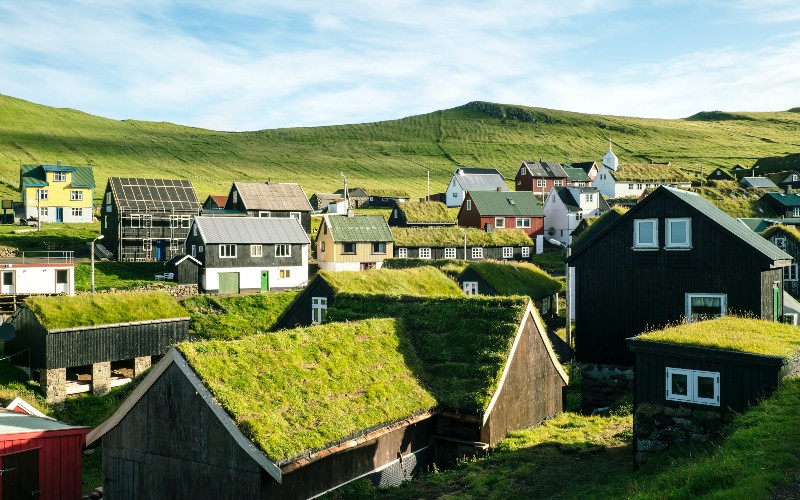village de maisons avec toits végétaux