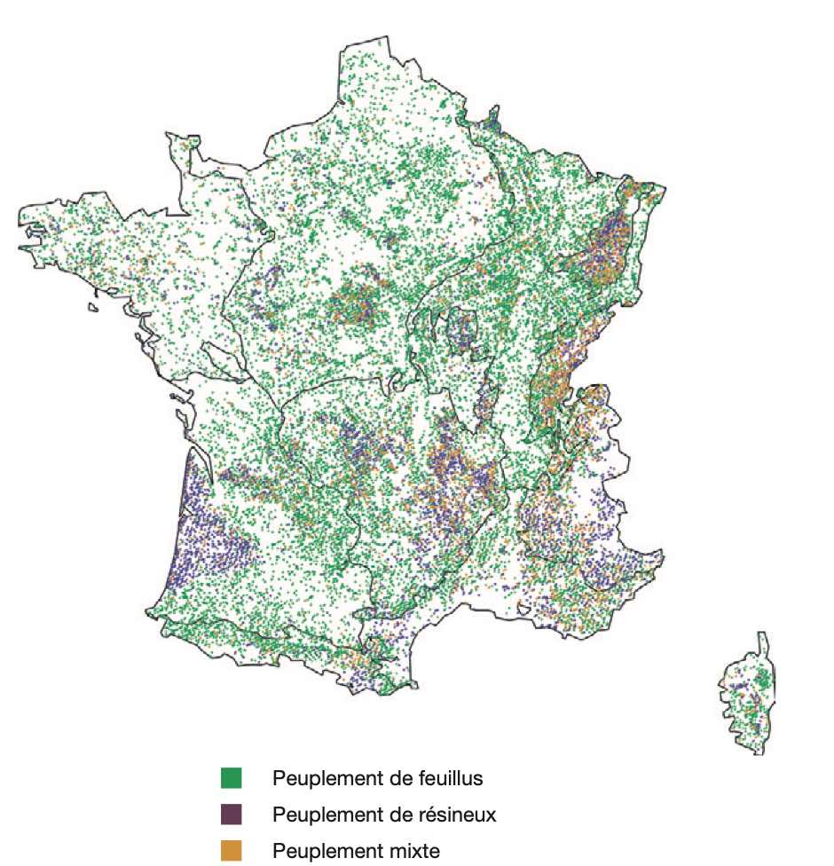 Carte de la forêt française métropolitaine - Source : Mémento 2022 de FCBA