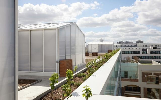 La toiture végétalisée du bâtiment Télécom Paris - Crédits photo : Antoine Mercusot