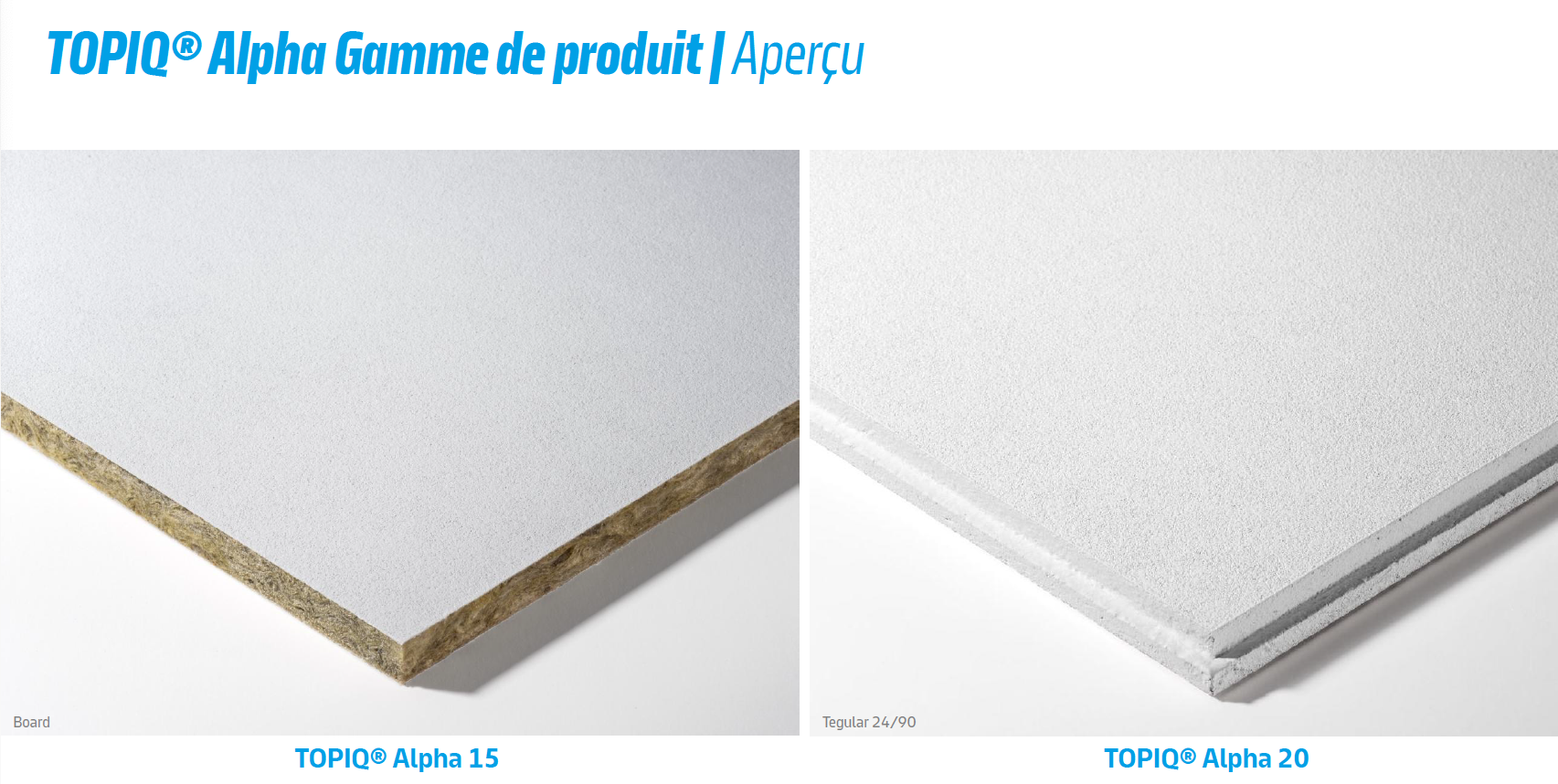 Aperçu de Topiq Alpha
