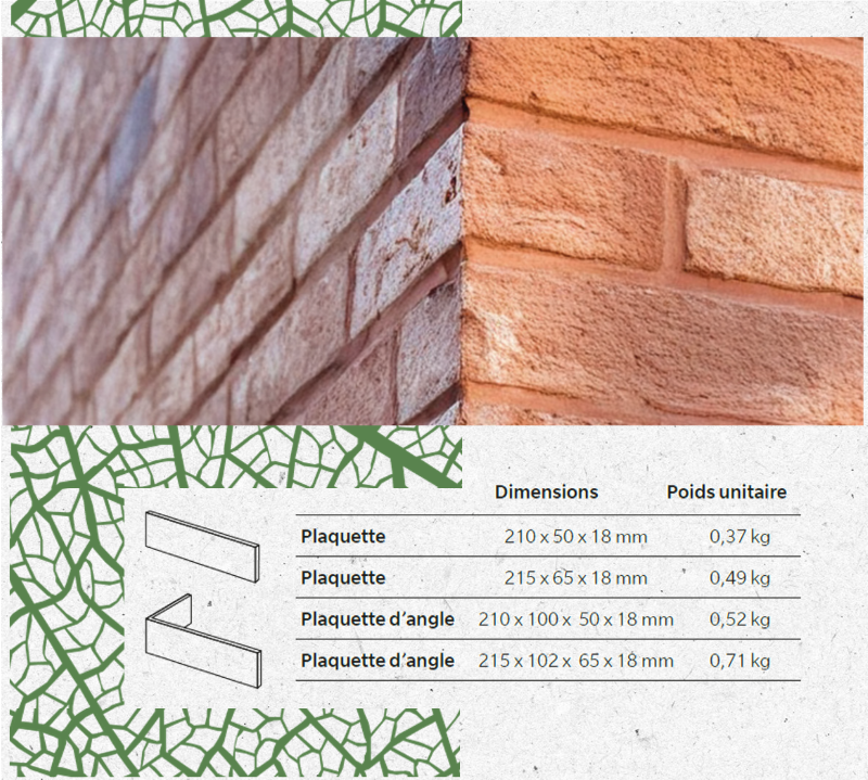 Dimensions de plaquettes dans la collection Phaunis par Wienerberger