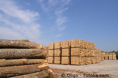 Le WWF dénonce la trop grande importation de bois illégal en UE - Batiweb