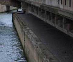 La qualité d'eau de la Seine s'améliore, on y pêche même des truites - Batiweb