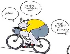 Bobo - intellos - Sport - Batiweb
