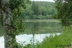 Un onzième parc naturel pour la France entre Champagne et Bourgogne - Batiweb