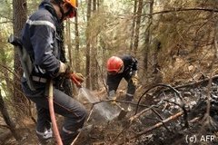 Incendies en Corse : suspension provisoire de deux pompiers pyromanes - Batiweb