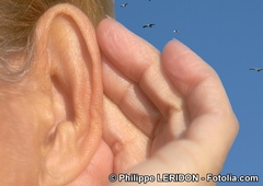 Protections auditives moulées directement sur l'oreille de l'utilisateur - Batiweb