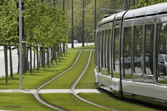 200 millions d'euros pour la construction d'un tram à Dijon - Batiweb