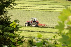 Les agriculteurs bavarois ne braderont pas leurs terres pour les JO - Batiweb
