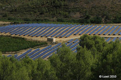 Photovoltaïque au sol : 22.000 modules fondus au paysage - Batiweb