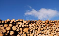 La qualification bois-énergie bientôt obligatoire - Batiweb