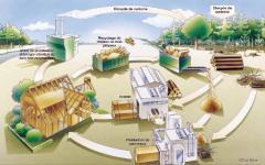 Le projet de la filière bois pour relancer son économie - Batiweb