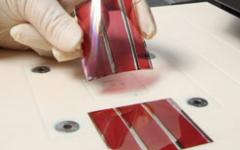 Des panneaux photovoltaïques organiques mimétiques à l'étude - Batiweb