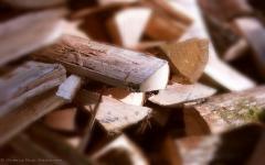 Quelle place pour la filière bois dans l'économie de demain ? - Batiweb