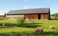 Senersun veut « servir le marché photovoltaïque français » - Batiweb
