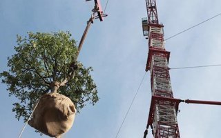 (Diaporama) En Italie les immeubles forêts sont une réalité Batiweb (Diaporama) En Italie les immeubles forêts sont une réalité Batiweb