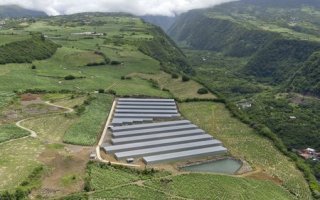 Des serres anticycloniques photovoltaïques inaugurées à La Réunion  - Batiweb