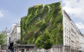 Un immense jardin vertical garnit un mur de Paris - Batiweb