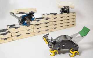 Des robots bâtisseurs inspirés des termites bientôt sur les chantiers de construction ? - Batiweb