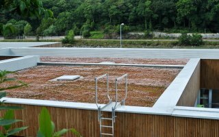 Toitures-terrasses : une notice commune aux entreprises d’étanchéité et du paysage - Batiweb