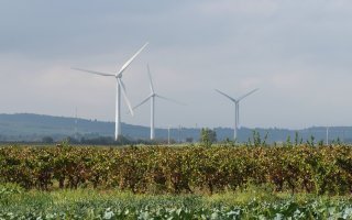 Faute d'évaluation environnementale, le schéma régional éolien d'Aquitaine est annulé - Batiweb