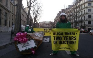 Opération coup de poing de Greenpeace contre le commerce de bois illégal - Batiweb