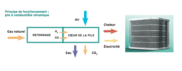 Innovation - Première chaudière de micro-cogénération par pile à