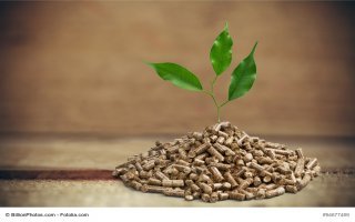 Appel à projets « Chimie du végétal et matériaux biosourcés »  - Batiweb
