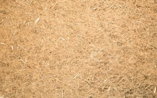 La filière des isolants biosourcés en plein boom Batiweb La filière des isolants biosourcés en plein boom Batiweb