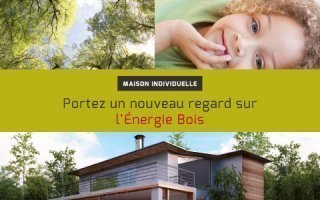 Poujoulat : les systemes bois energie en maison individuelle Batiweb Poujoulat : les systemes bois energie en maison individuelle Batiweb