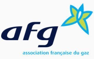 L’Association française du gaz en faveur des EnR - Batiweb