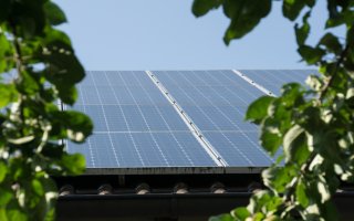 Nicolas Hulot annonce les lauréats de la seconde période de l’appel d’offres photovoltaïque au sol - Batiweb