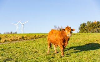 Les énergies renouvelables, une opportunité pour les agriculteurs - Batiweb