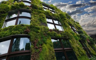 Les façades végétales pour une ville verte Batiweb Les façades végétales pour une ville verte Batiweb