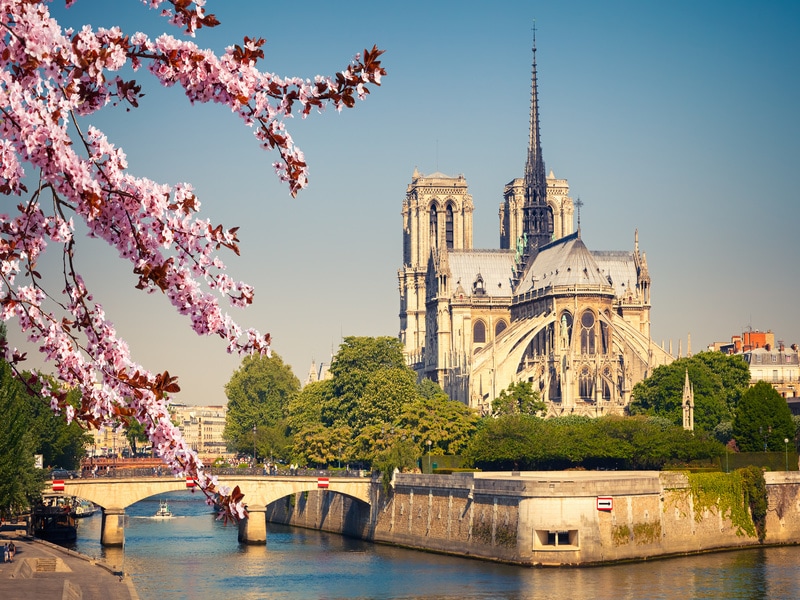 Le Sénat modifie le projet de loi pour la restauration de Notre-Dame de Paris - Batiweb