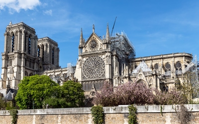 Notre-Dame de Paris : les artisans appelés à participer...