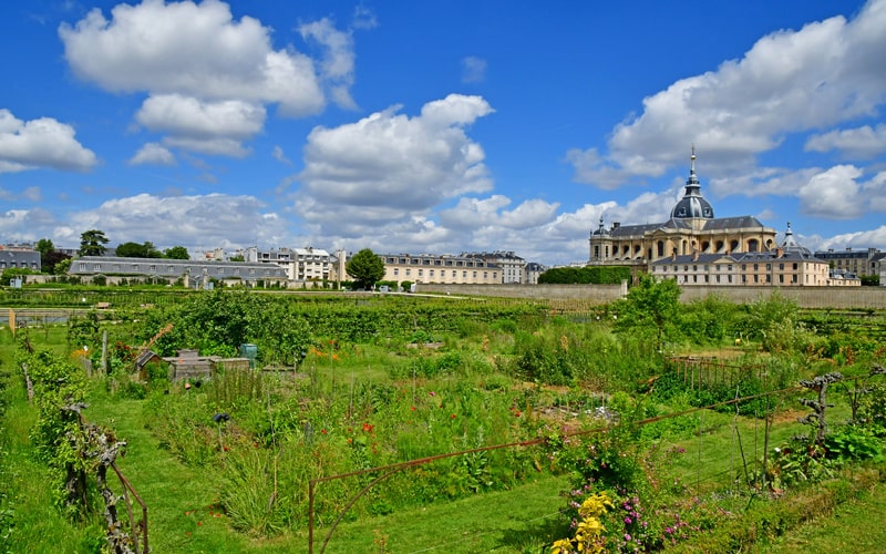 Architecture et paysage : la BAP fait son grand retour à Versailles - Batiweb