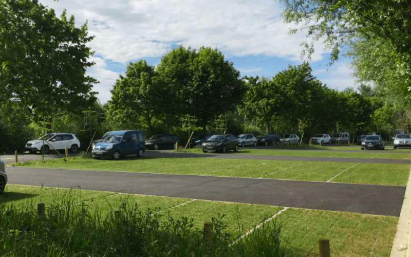Les parkings végétalisés favorables à la reconquête de la biodiversité sur les sols urbains - Batiweb
