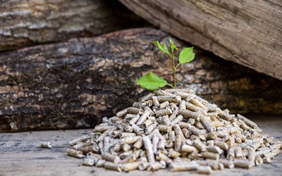 Crise énergétique : comparé au gaz, le granulé de bois...