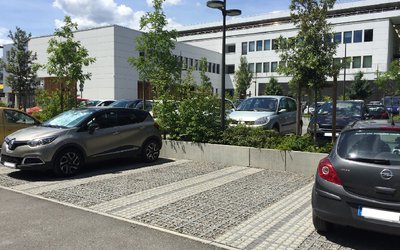 Opération survie des sols chez O2D Environnement