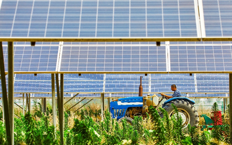 Pour accélérer le solaire en France, plus de foncier à mobiliser ? - Batiweb