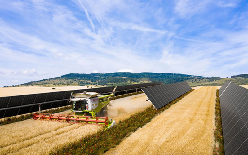 Velux lance la construction de deux parcs solaires en Espagne - Batiweb