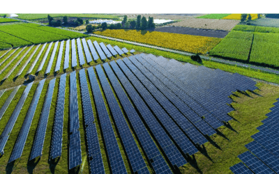 Un couac administratif retarde l'appel d'offres solaires...