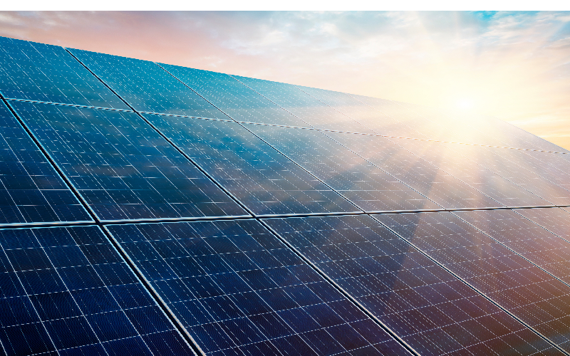 Nexity investit dans l'énergie solaire pour diversifier ses activités - Batiweb