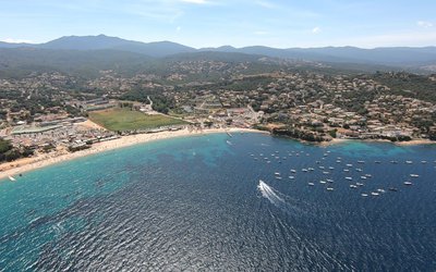 Destruction de tortues protégées en Corse...