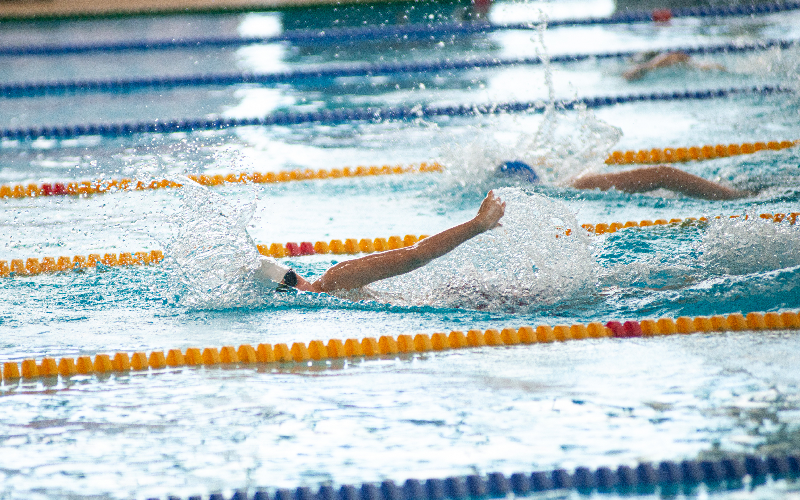 Toulouse va récupérer un bassin des JO pour sa Cité de la natation - Batiweb