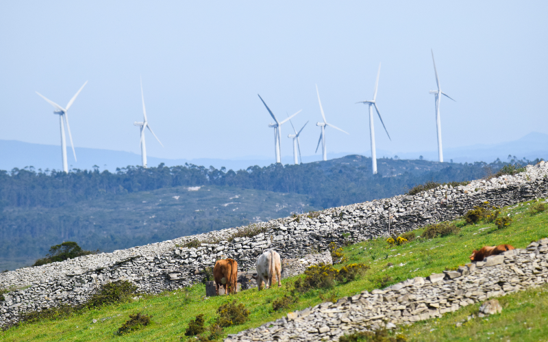 5 propositions pour accorder énergies renouvelables et patrimoine culturel - Batiweb