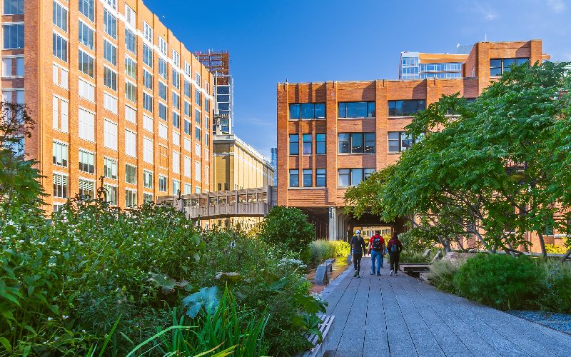 L’architecte qui a co-réhabilité la High Line de New York est mort - Batiweb