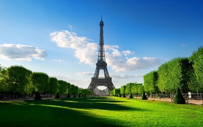Végétalisation : Paris adopte son nouveau plan biodiversité