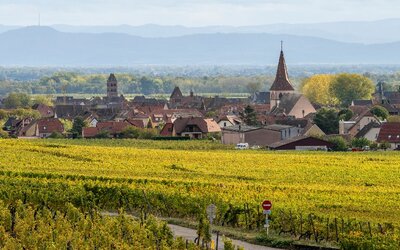 Campagnes : des chercheurs appellent à repenser...
